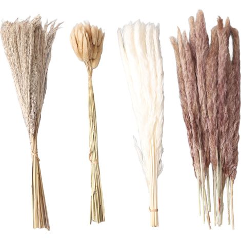 Plumes de pampa naturelles séchées duveteuses 15 pièces blanches, 15 pièces marron, 50 pièces queue-de-lièvre, 20 pièces roseaux pour décoration maison mariage (1/5)