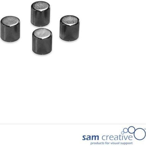 Metallische Magnete 10mm Zylinder schwarz (4St.) (1/2)