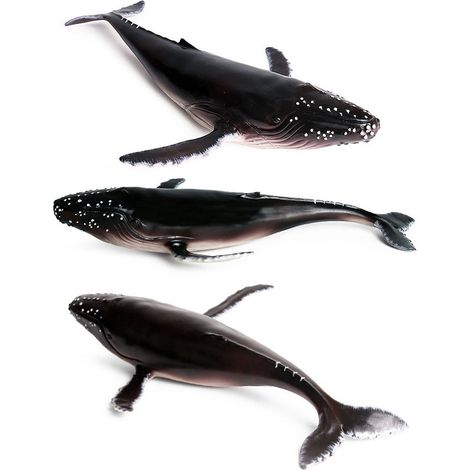 Modèles d'animaux marins simulés : requin-baleine, baleine à bosse, baleine franche. Jouets (1/4)