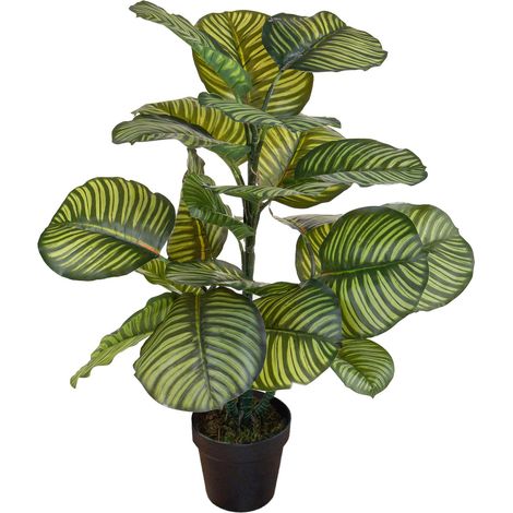 Pianta Artificiale Calathea in Vaso con 22 Foglie H 85 cm (1/5)