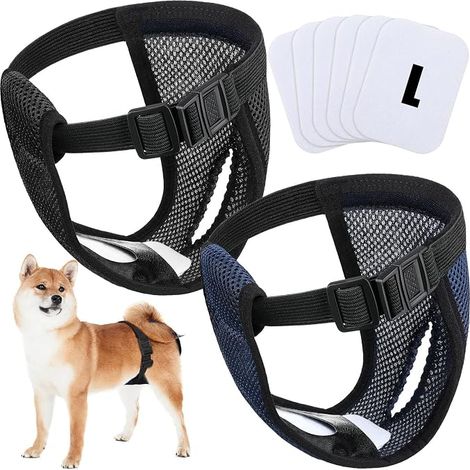 Couches Lavables pour Chien Femelle, Noire et Bleu, M Pantalon pour Chien Protection avec Serviettes Hygiéniques Culotte Menstruelle Chien pour Chaleurs Saignements Mensuels (1/5)