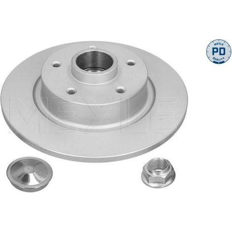 Lot de 2 Disques de frein MEYLE 16-15 523 4109/PD RENAULT 402029646R 432000007R