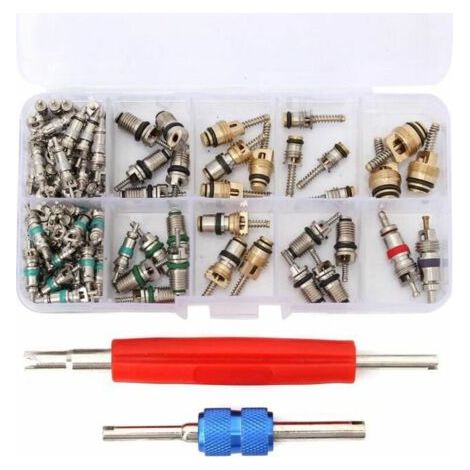 Lot de 100 valves de climatisation R12/R134A pour voiture – Matériau en cuivre et laiton – Étanchéité et résistance à la corrosion (1/4)