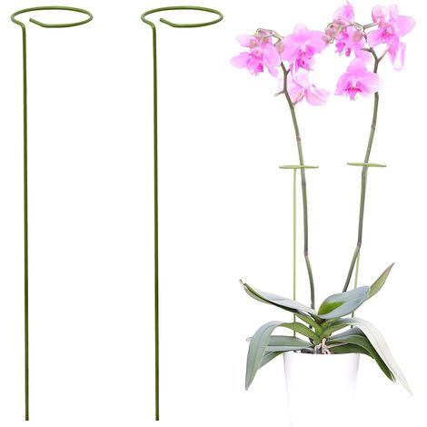 Lot de 2 supports de jardin pour plantes  Favorisez la croissance de vos fleurs  Plantes (1/4)
