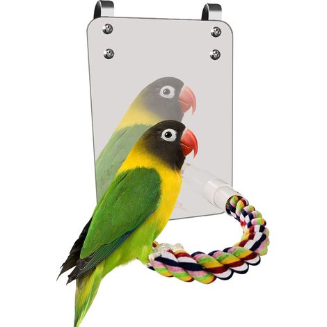 Jouet miroir pour oiseaux avec perchoir en corde - Grand support de miroir - Jouet à mâcher pour perroquet, perruche, calopsitte, conure, pinson, gris africain, cage à suspendre (1/4)