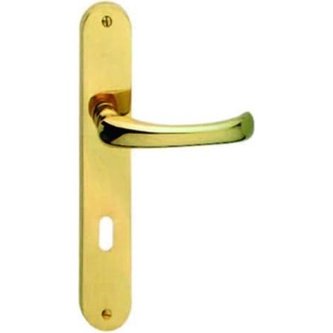 MANIGLIA RIO CON PLACCA IN OTTONE LUCIDO  - quadro maniglia mm.8   pz 2	 - mm.90 (1/2)
