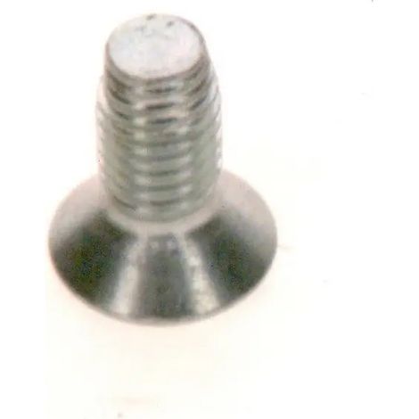 BOSCH Vis 60x14 (2x), 87186602000