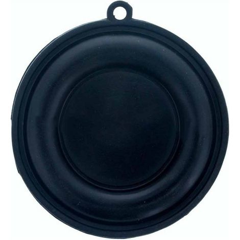 Membrana calentador Cointra 10 lts 65mm