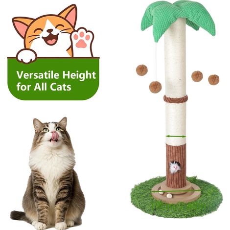 Griffoir pour chat, jouets interactifs, design gain de place, ensemble 2 (1/2)