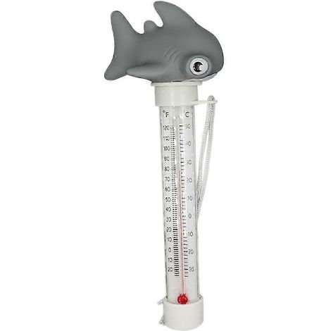 Système de mesure de température pour piscines, bassins à poissons, étangs de baignade et spas.-Gray (1/5)