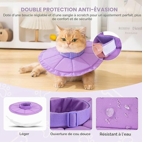 Collerette pour Chat, Collerette Chaton, Collier Lune pour Chat, Collier Boudin de Récupération Ajustable et Pliable -Violet(S) (1/2)