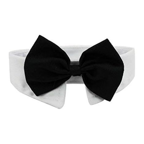 Cravate habillée pour chien ou chat, nœud papillon ajustable en coton, taille L, idéale pour les fêtes et les mariages. (1/5)