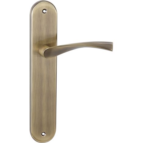 Manilla zamak placa ovalada cuero puerta 250x50mm uso normal (1/5)
