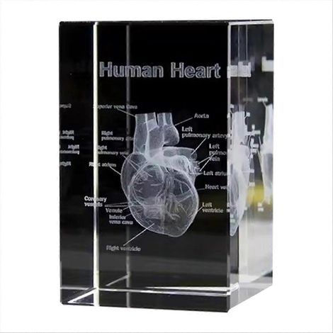Cube en cristal en forme de cœur, figurine anatomique gravée au laser en 3D, souvenir de sciences médicales, presse-papier décoratif (1/5)