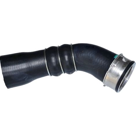 Gaine de suralimentation BUGIAD 81673 BMW 11617810308