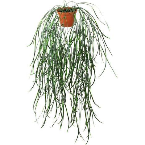 Hoya linearis artificielle en pot H 70 cm très originale suspension