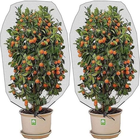 Filet anti-insectes avec cordon de serrage (1,2 x 0,8 m, lot de 2) - Filet de protection pour plantes, fruits et fleurs des insectes et des oiseaux (1/5)