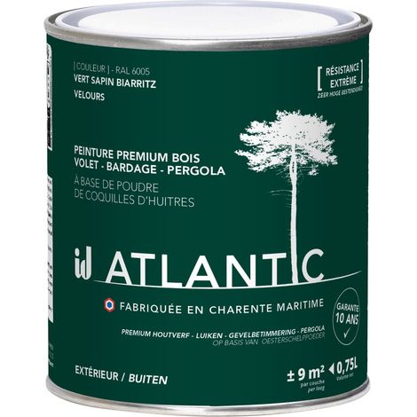 Peinture bois extérieurs -RAL 6005 Vert sapin Biarritz - 750ML - ATLANTIC (1/3)