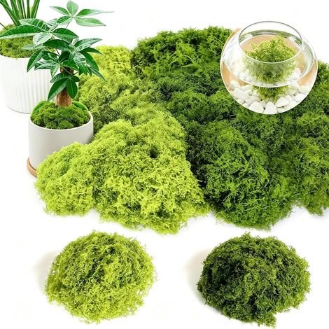 400g Mousse Artificielle Decoration, Fausse Mousse Verte Foncé Clair pour Décorer, Mousses Florale l'artisanat pour Mariage, Noël, Pâques, Maison (1/5)