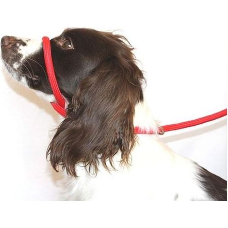 Guinzaglio/collare anti-trazione a forma di otto (ROSSO) - Taglia unica - Nylon intrecciato ultra morbido - Istruzioni di regolazione incluse - Comodo. K (1/5)