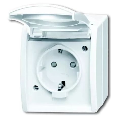 Busch-Jaeger 20 EBW-54 SCHUKO® Steckdose mit erh. Berührungsschutz (1/2)