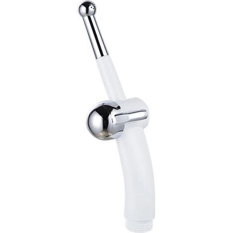 Pommeau de che à main pour femme, adapté au lavage des femmes, au lavage des couches de bébé, au nettoyage de la che, au robinet de toilette, au pommeau de che, au bidet, argenté G1/2 (1/5)