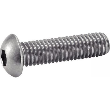 Tornillo Acton hexagonal socket head A4 5x10 mm 200 unidades