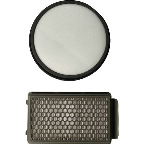 Filtre HEPA et pré-moteur pour aspirateur Moulinex Retient les particules fines Dimensions 15,1 x 8,4 x 3,3 cm Lavable (1/5)