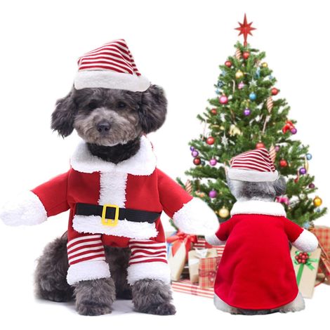 Déguisements de Noël et du Nouvel An pour petits chiens/chats - Tenue de Père Noël, costume de cérémonie, robe amusante et ensemble de déguisement (taille M) (1/5)