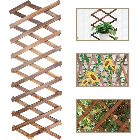 Expandable Plant Trellis, tuteur pour plantes grimpantes, clôture de jardin, grille en noisetier pour plantes grimpantes, pour le jardin, le balcon et les terrasses (1/5)