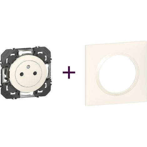Legrand Pack Dooxie 2P plus T plus Plaque 1P Blanc (1/3)
