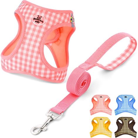 Harnais pour Chien avec Laisse Réglable et Confortable Ensemble pour Chiot Petit et Moyen (1/5)