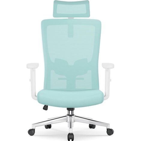 Fauteuil de bureau ergonomique, support lombaire réglable, inclinable 135°, bleu sarcelle (1/5)
