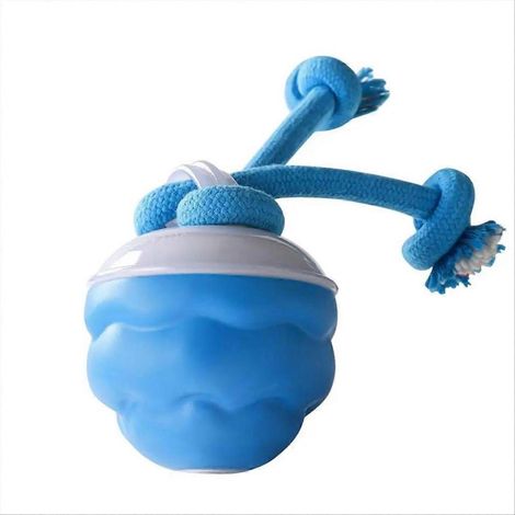 Balle interactive pour chien, jouet tactile et vibrant, rechargeable par USB, pour animaux d'intérieur. (1/5)