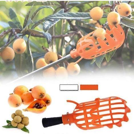Cueille-fruits, récolteuse de fruits, outils de jardinage pour serre, outil de cueillette de fruits, récolteuse de myrtilles en haute altitude (1/4)