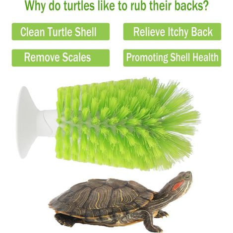 Irovami Brosse de nettoyage pour carapace de tortue,Ventouse, exfoliante, pour tortue à oreilles rouges – Vert (1/2)