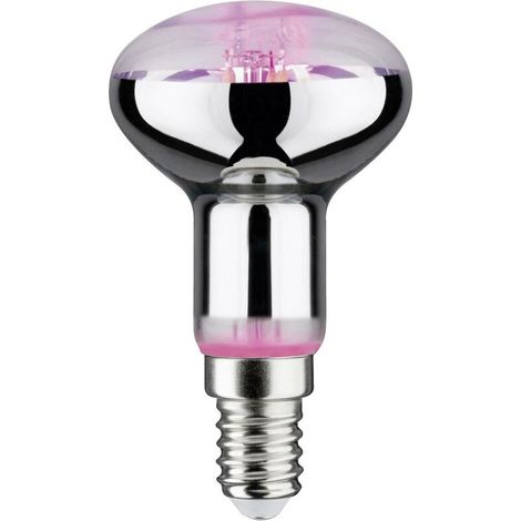 Paulmann Lampe pour plantes à LED, croissance 230 V E14 4 W ambré 1 pc(s) C002522 (1/5)