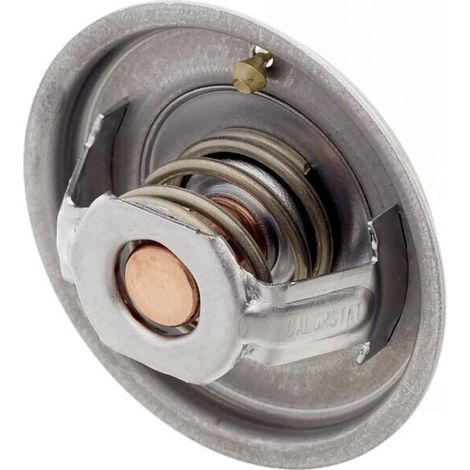 Termostato VALTRA V837084949