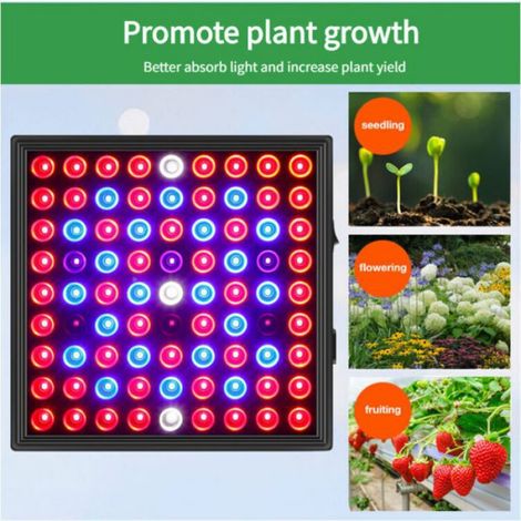 Lampe Horticole LED - 30 W - Croissance Et Floraison - Pour Semis - Aluminium Et PVC - 1 Unite (1/5)