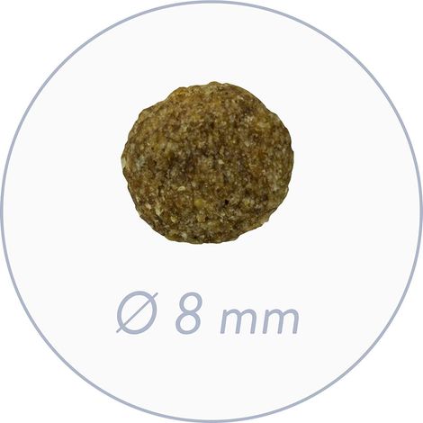 Bosch Mini Senior 2,5 kg (1/5)