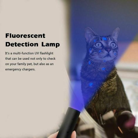 365nm UV lamp for moth identification, mushroom test lamp, USB rechargeable lamp, UV lamp, flashlight, fluorescent moth identification lamp