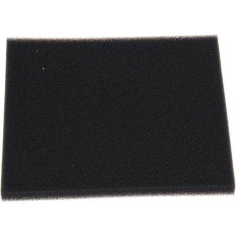 Philips - filtro (gommapiuma) - 422245946171 - 5401101514116