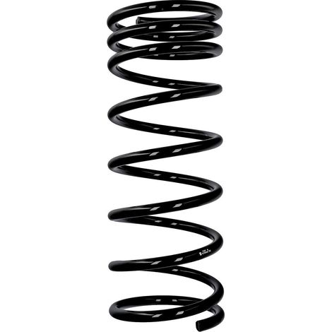 Muelle de stock Eibach R10595 (1/2)