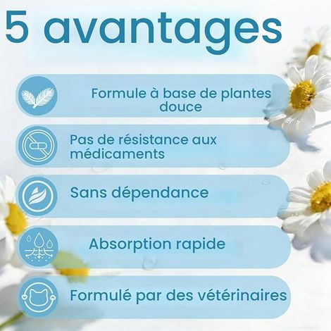 Soutien du Sommeil des Chats, traitements apaisants – avec mélange de mélatonine et d'herbes, sédatif pour Le Soin, Soutien du Sommeil paisible, Aide au Sommeil, soulagement de l'anxiété pour Les (1/4)