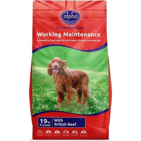 Alpha Worker Maintenance 15kg - 11083 (1/2)