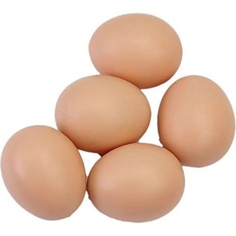 5pcs faux oeuf poule artificielle volaille coop nid en plastique pratique et pratique