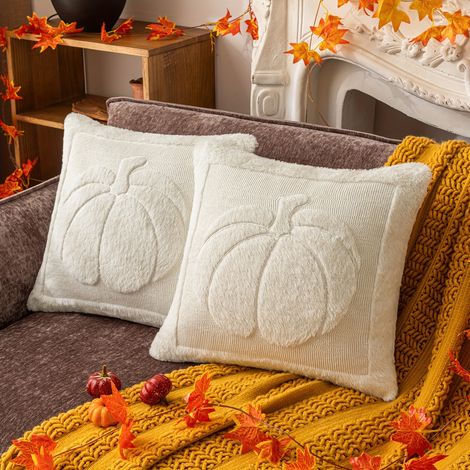 de housses coussin rustiques d'automne douces x cm décoration d'intérieur pour canapé lit chambre sans coussins. Lot 2 50 (1/4)