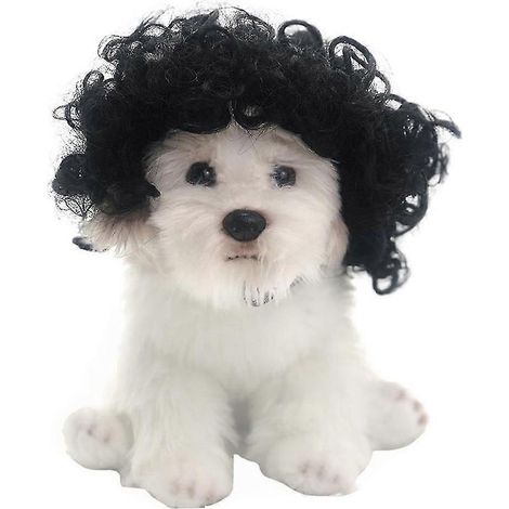 Peluca para mascotas, peluca divertida para perros, vestido diario (1/5)