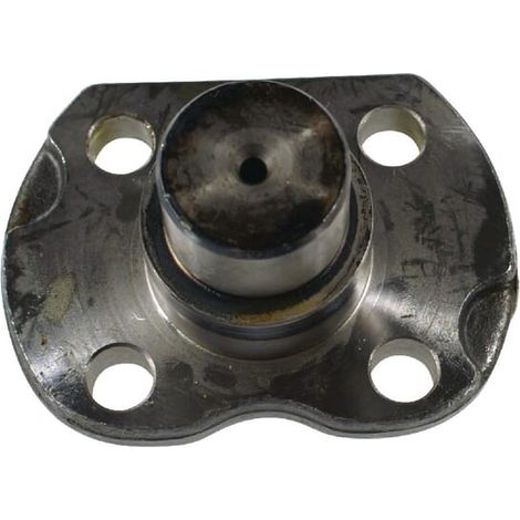 Pivot CARRARO CI128904 (1/3)