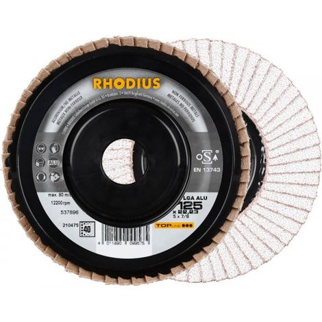 RHODIUS LGA ALU, 10 Stück, 125 mm, Korn 40, Fächerschleifscheibe